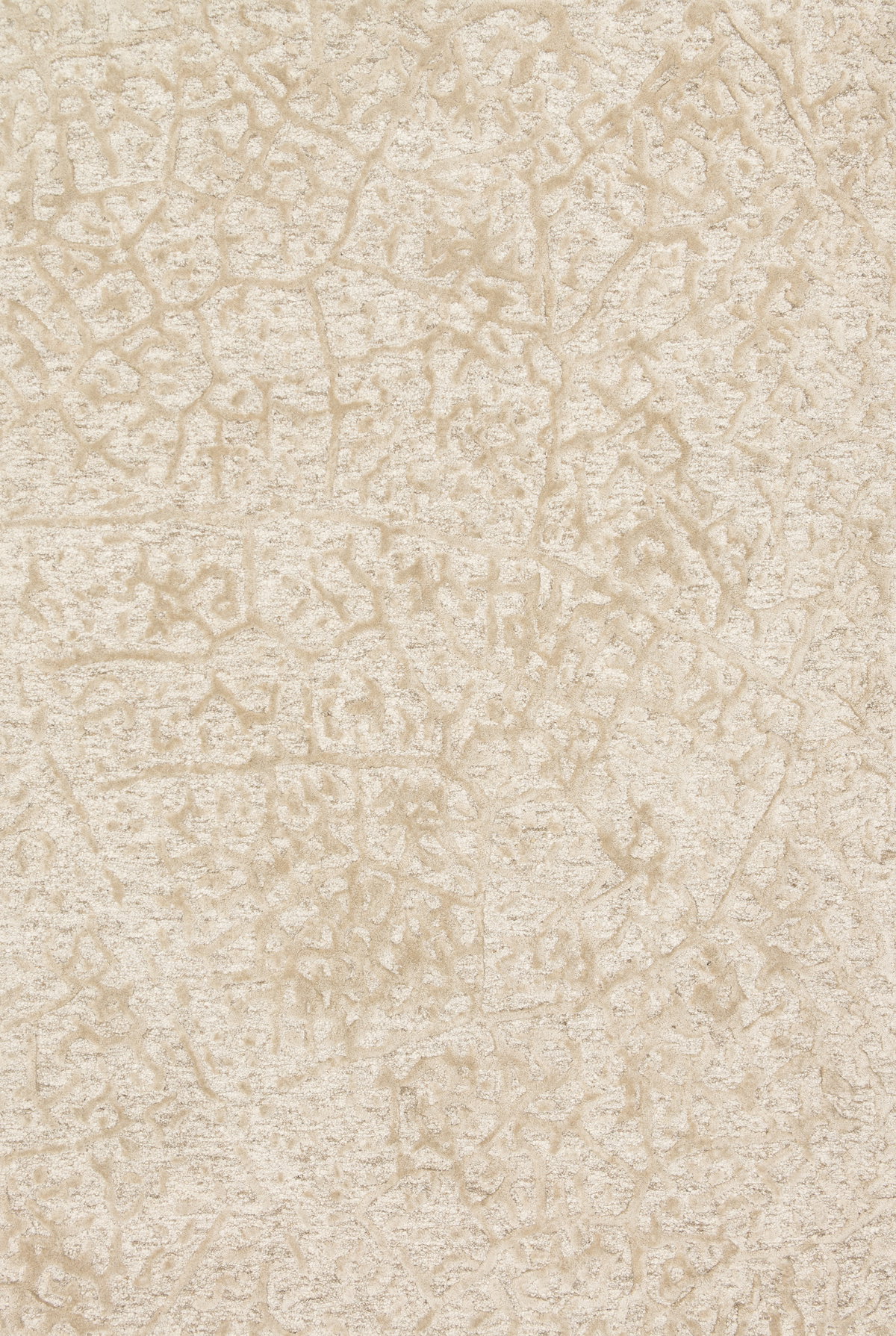 Loloi Juneau Rug, 3'6" length x 5'6" width View 1