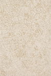 Loloi Juneau Rug thumbnail 0