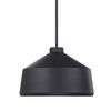 Holgate 1 Light Black Pendant, Ceiling Light by Uttermost, 14" width x 10" height x 14" diameter x 14" depth thumbnail 4