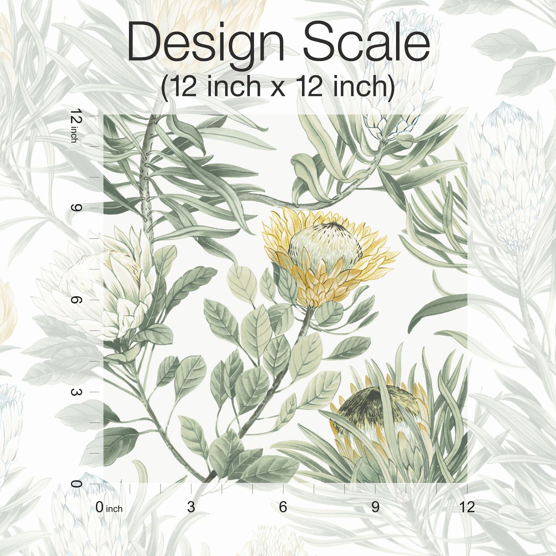 Protea White & Yellow Wallpaper Protea White & Yellow Wallpaper large image