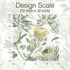 Protea White & Yellow Wallpaper 6 Protea White & Yellow Wallpaper thumbnail 6