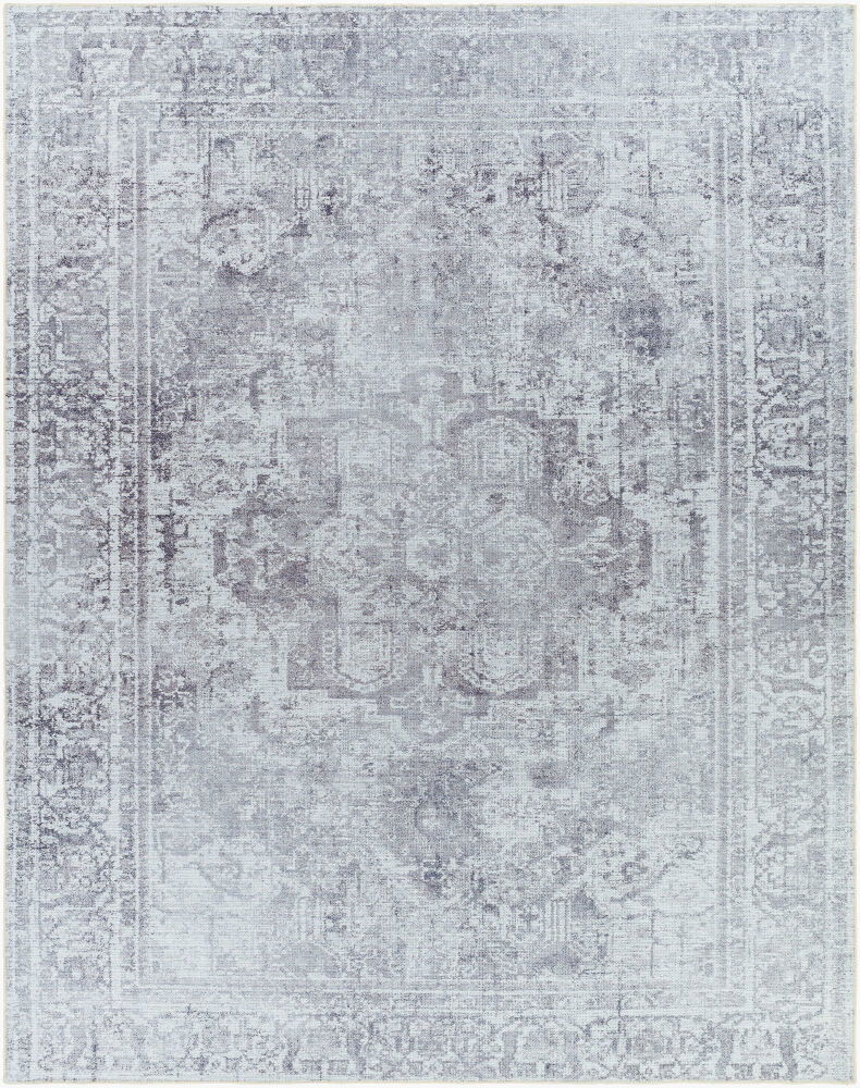 Tahmis Machine Woven Rug, by Surya, 10'2.05" length x 7'10.49" width