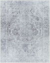 Tahmis Machine Woven Rug, by Surya, 1'3.75" length x 1'3.75" width thumbnail