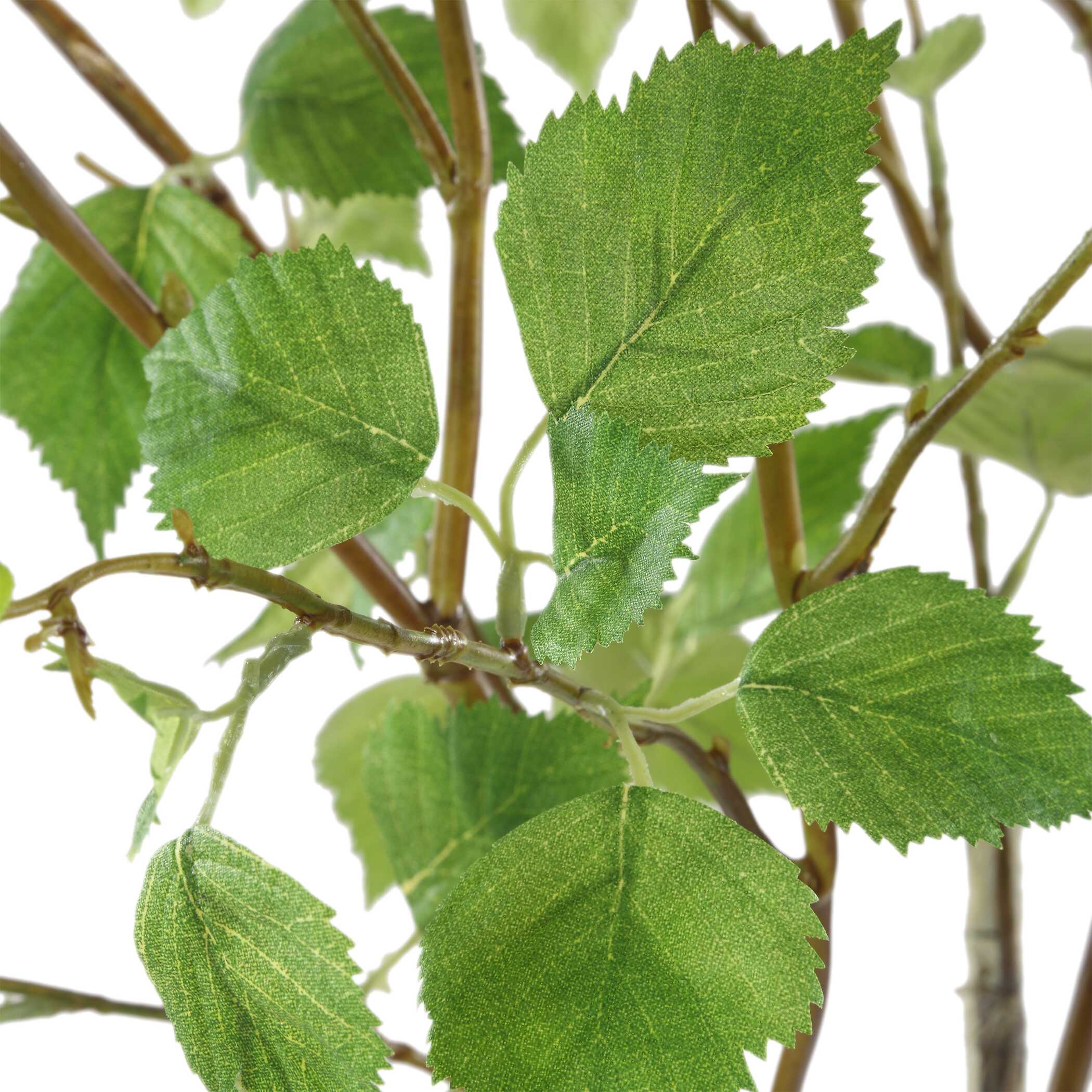 Nigra Birch Vase Centerpiece, Decorative by Uttermost, 20" width x 48.25" height x 24" depth View 4