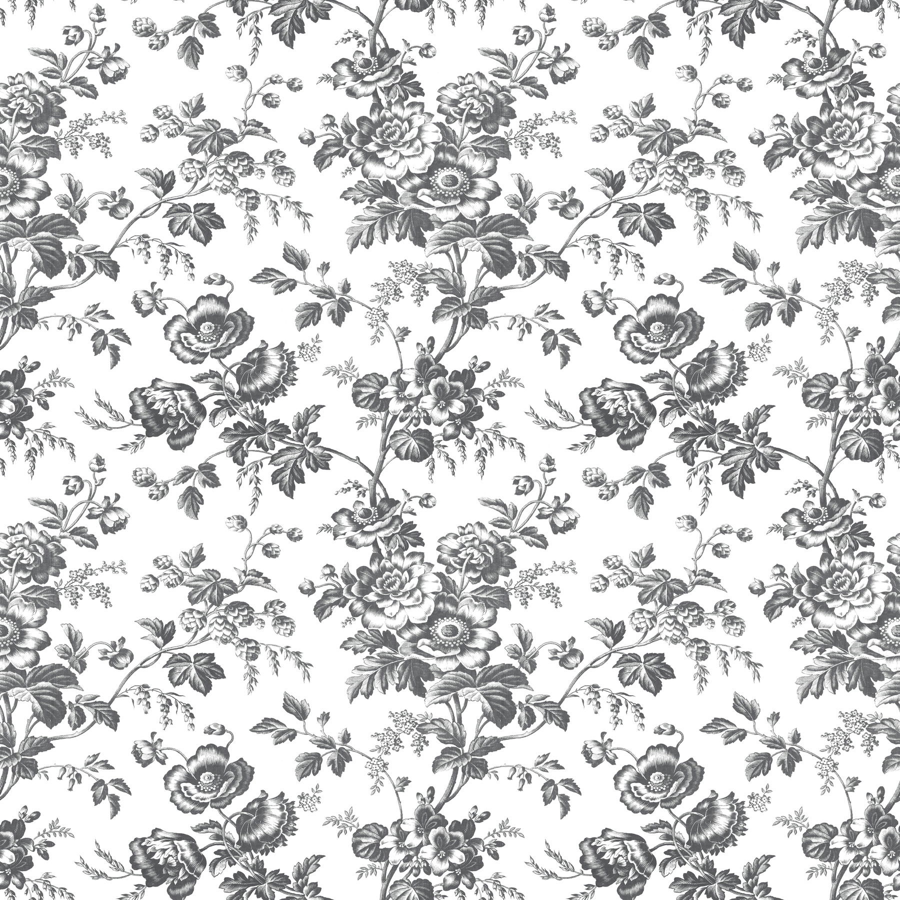 Anemone Toile Black Wallpaper large image 