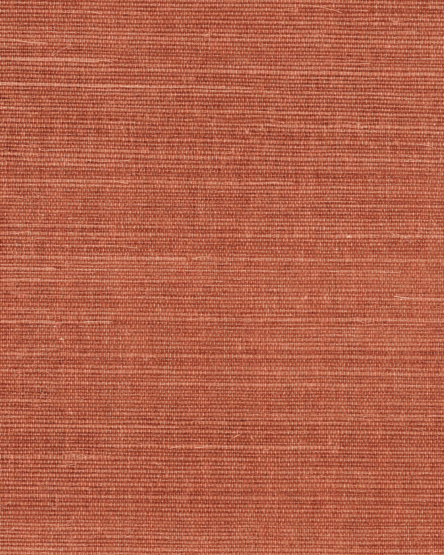Maguey Sisal Rose Wallpaper large image 