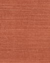 Maguey Sisal Rose Wallpaper thumbnail 0