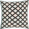 Omo Accent Pillow Down, Decorative Pillow by Surya, 20" length x 20" width thumbnail