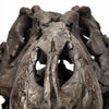 Lagrane 19L x 11W Brown Resin Tyrannosaurus T Rex Dinosaur Skull Replica thumbnail 6