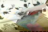 Linden Flower Black Peel & Stick Wallpaper thumbnail 5