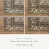 Amber Lewis x Loloi Billie Rug, 2'6" length x 7'6" width thumbnail 5