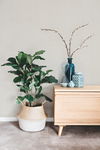 Textile Sisal Grasscloth Light Grey Wallpaper thumbnail 1