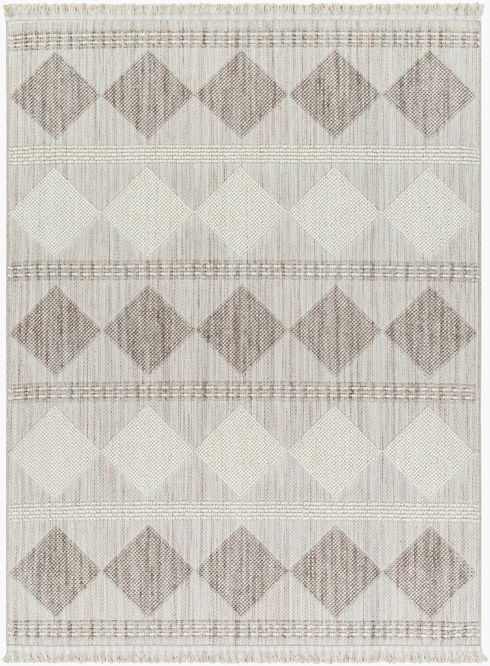 New Delhi Machine Woven Rug