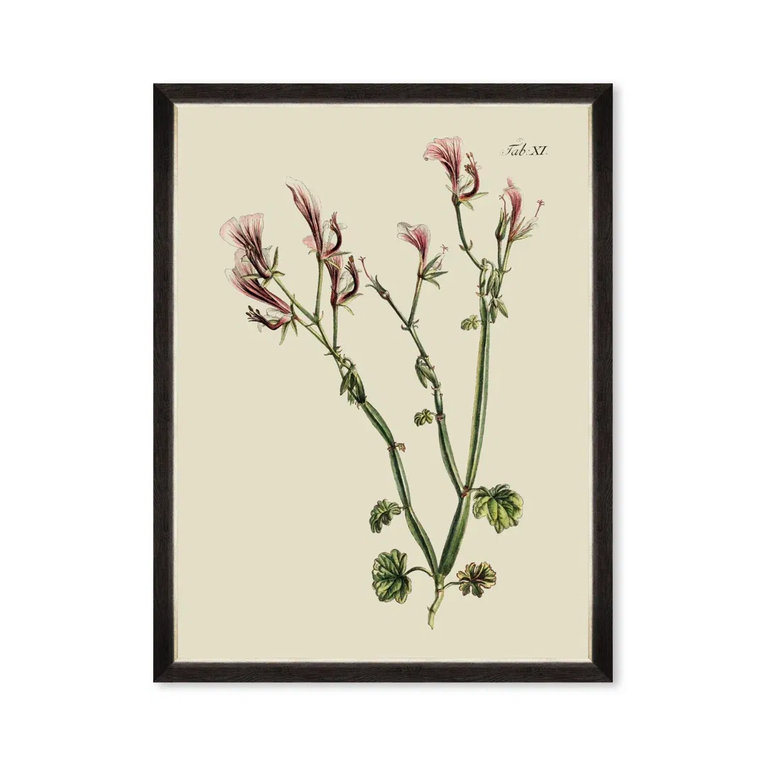 BOTANICAL I large image 