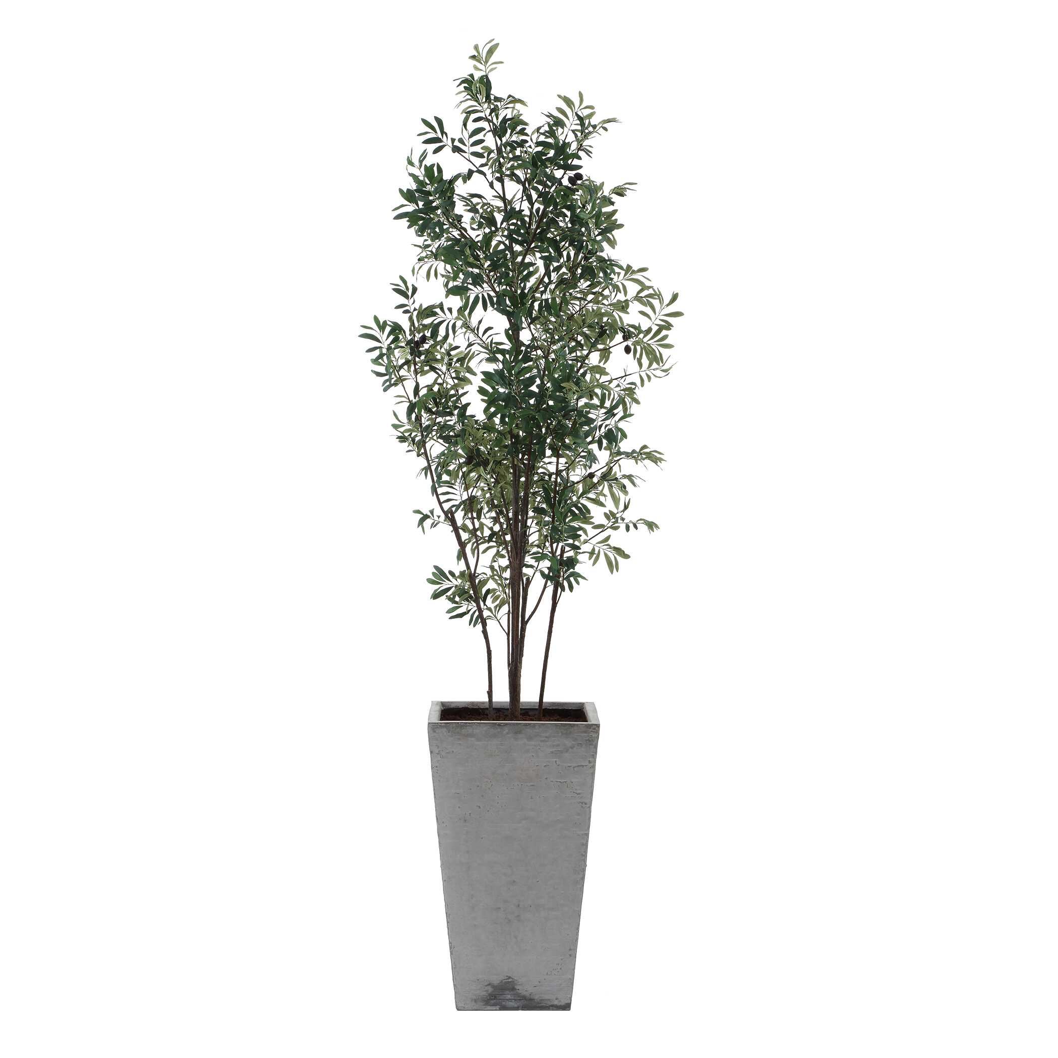 Sonora Olive Tree In Planter, Decorative by Uttermost, 33" width x 89.25" height x 31.5" depth View 5