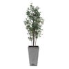 Sonora Olive Tree In Planter, Decorative by Uttermost, 33" width x 89.25" height x 31.5" depth thumbnail 5