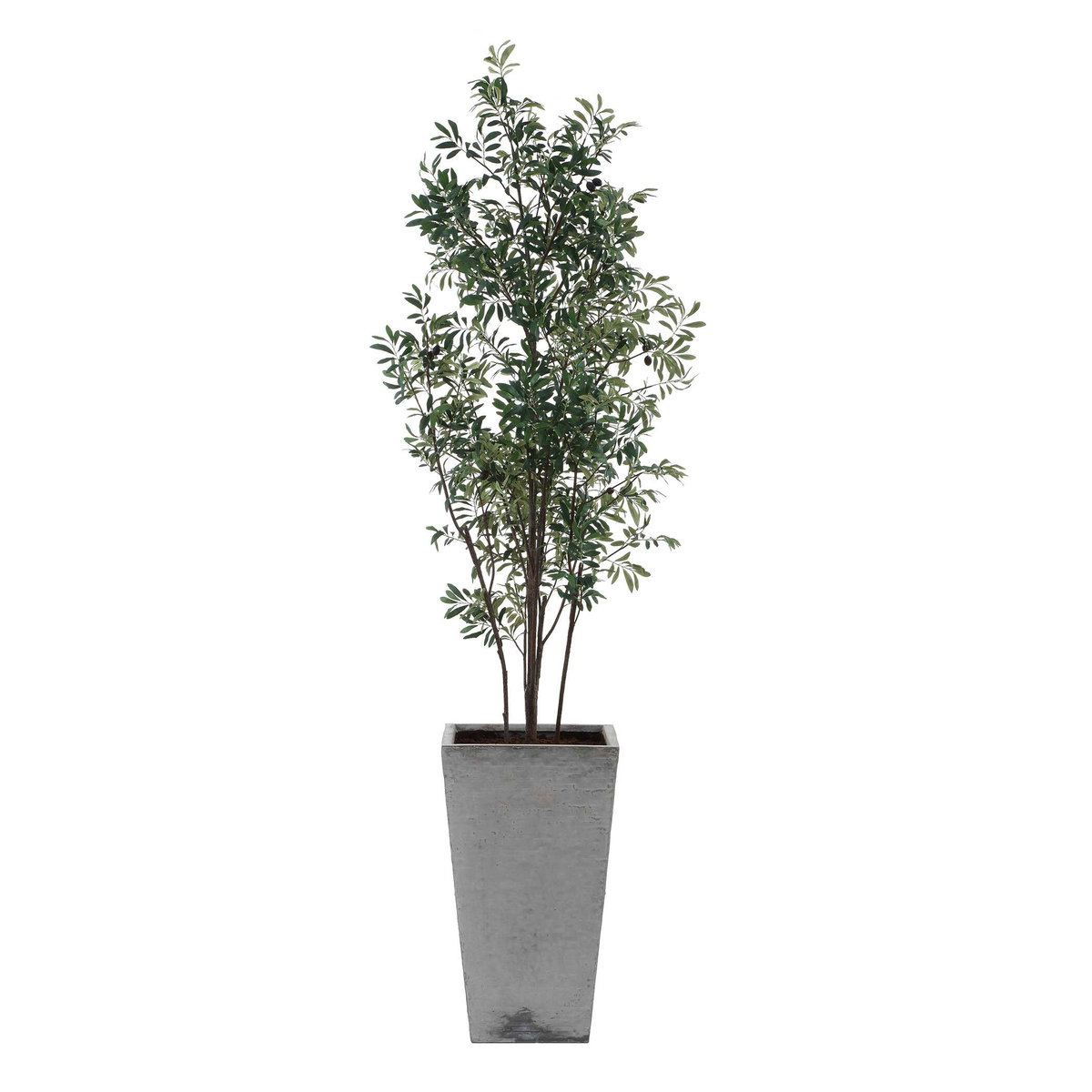 Sonora Olive Tree In Planter, by Uttermost, 2'9" width x 7'5.25" height x 2'7.5" depth View 5