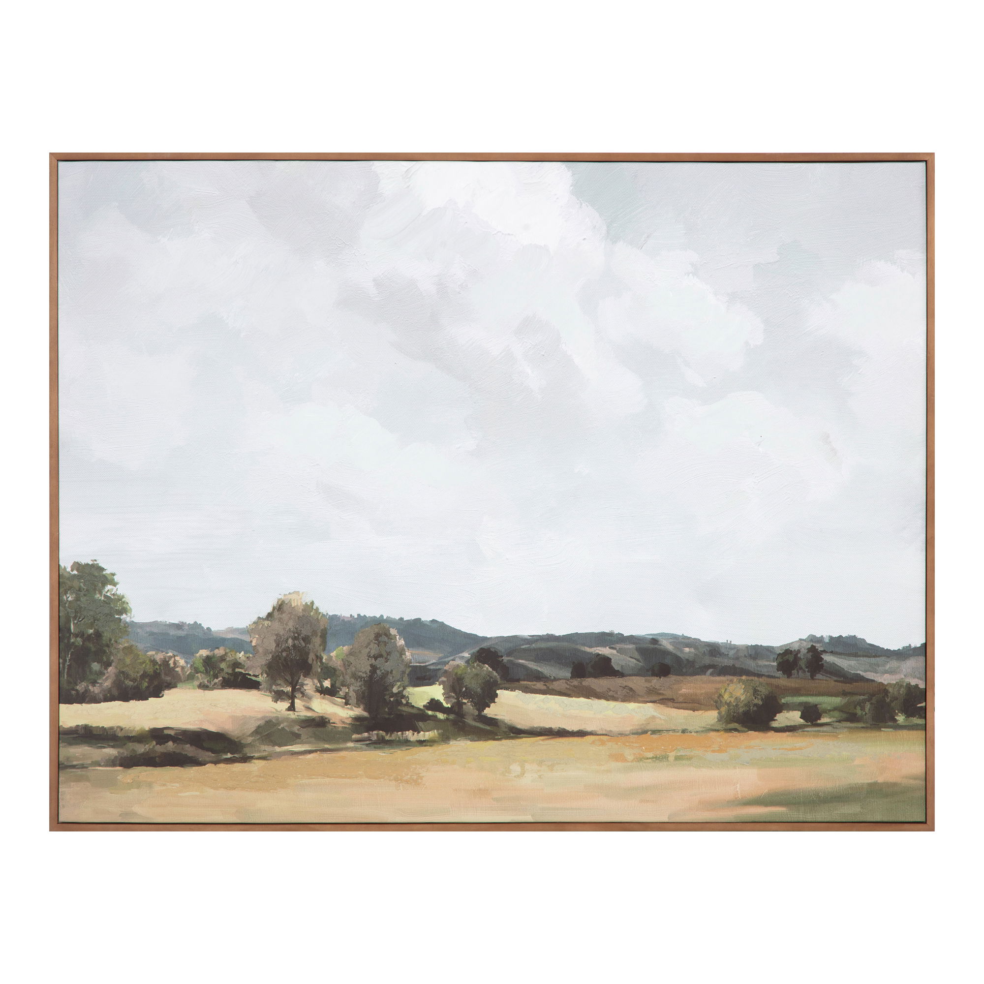 Vast Country Framed Painting large image 