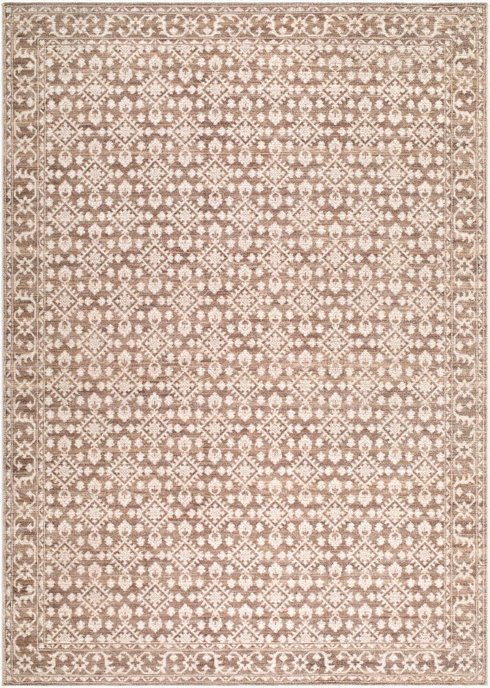 Aram Machine Woven Rug