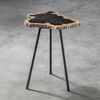 Mircea Petrified Wood Accent Table thumbnail 3