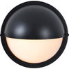 Raina Wall Sconce thumbnail 5