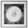 Dandelion Seedhead Framed Print, Painting by Uttermost, 53.75" width x 53.75" height x 3.12" depth thumbnail 1