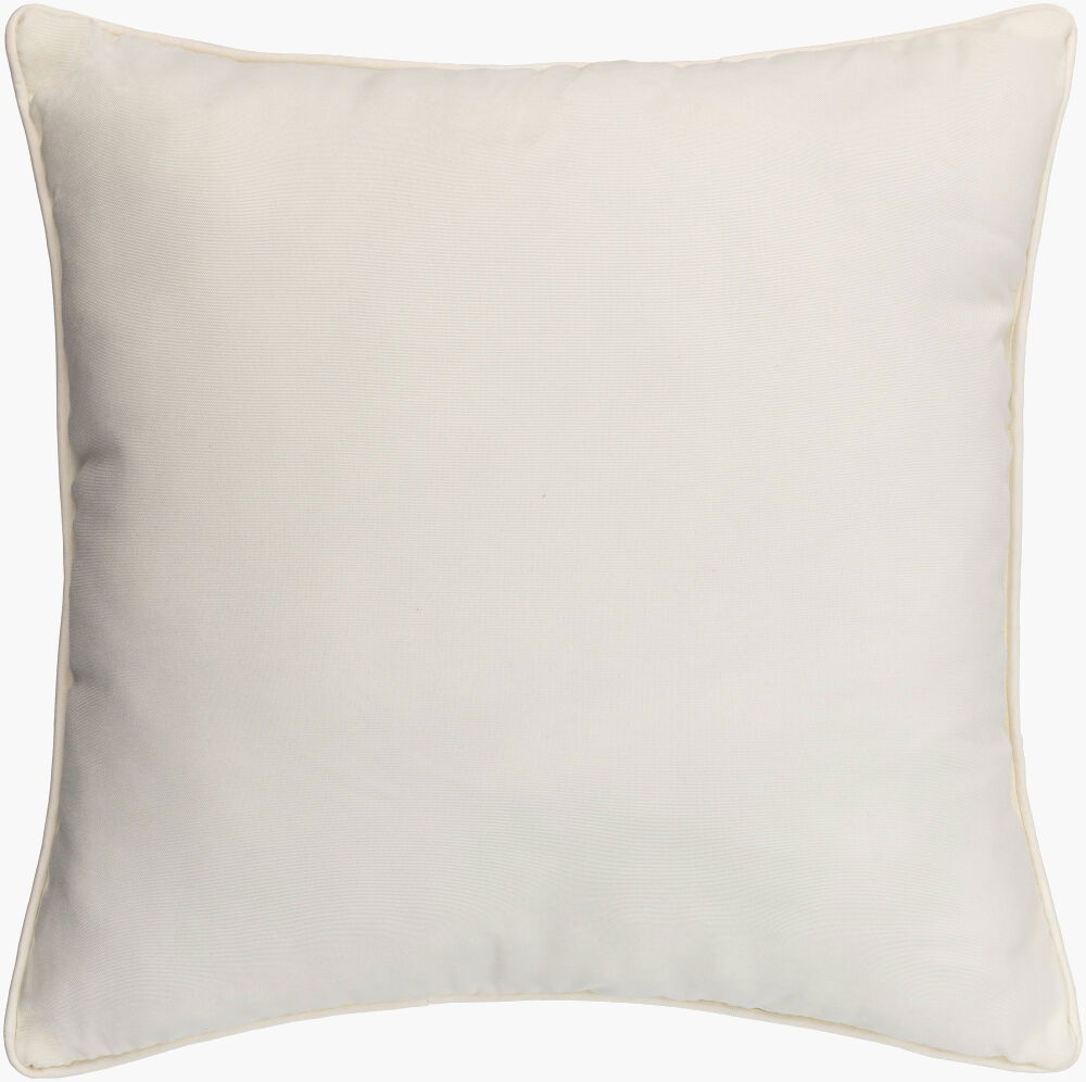 Essien Accent Pillow, Decorative Pillow by Surya, 20" length x 20" width