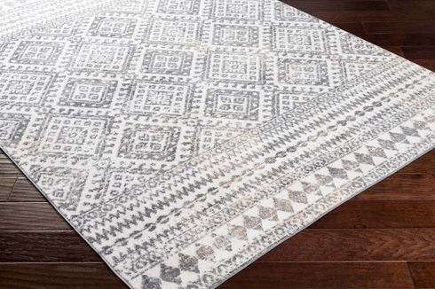 Cesar Machine Woven Rug