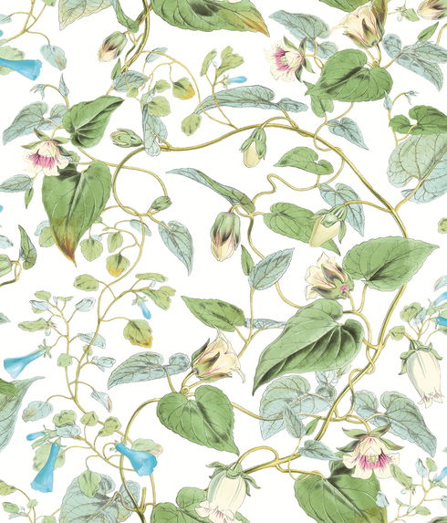 Moon Flower White Wallpaper