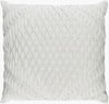 Baker Accent Pillow thumbnail 0