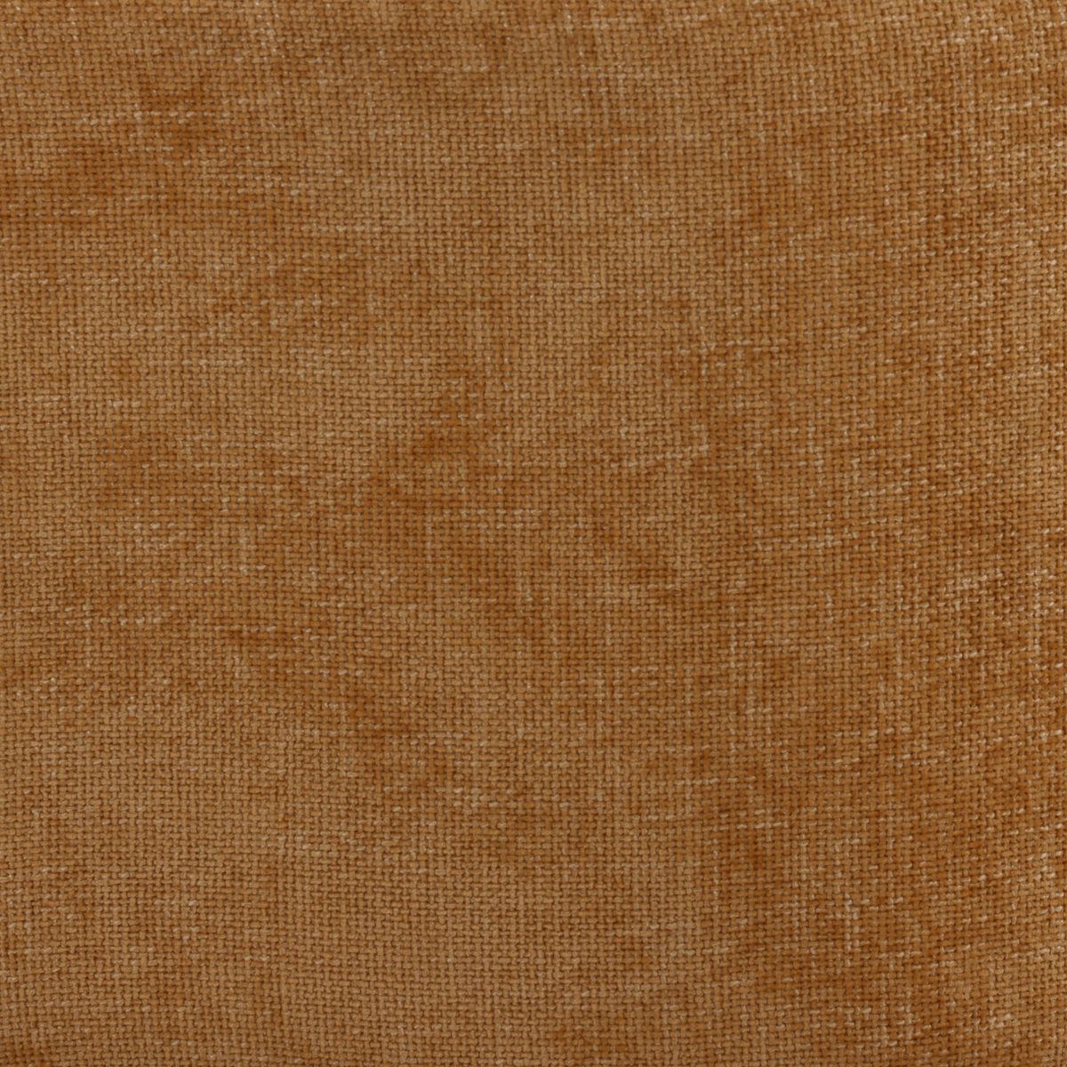 Munson Occasional Chair Ginger, Accent Chair by Dovetail, 32.25" width x 30.9" height x 31" depth View 5