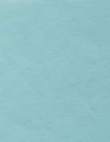 Oasis Turquoise Wallpaper thumbnail 0