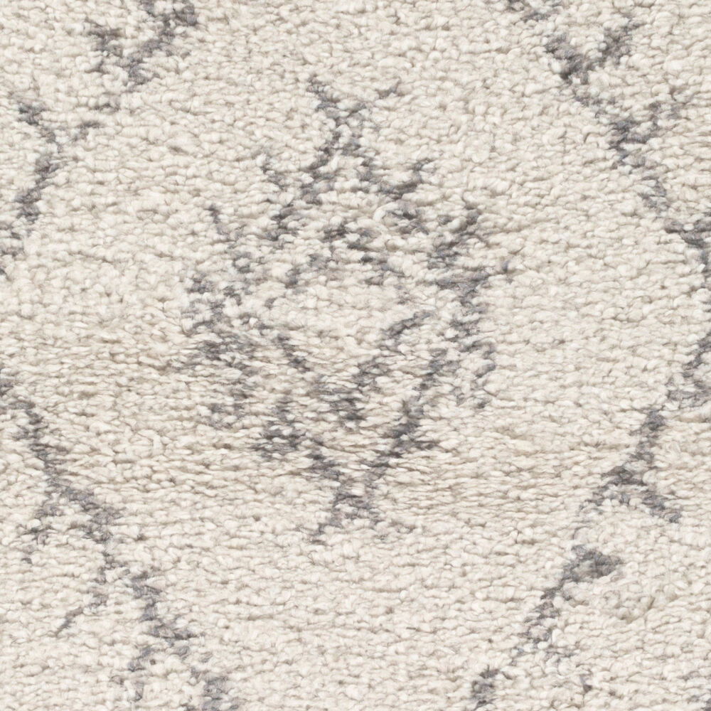 Wilder Machine Woven Rug large image 