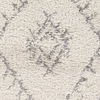 Wilder Machine Woven Rug thumbnail 0