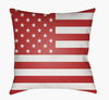 Americana Accent Pillow, Decorative Pillow by Surya, 18" length x 18" width thumbnail