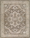Arda Machine Woven Rug, by Surya, 13'11.32" length x 10'0.08" width thumbnail