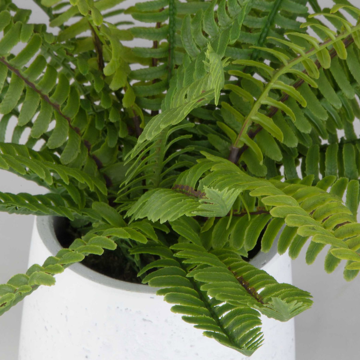 Boston Fern In White Ceramic Pot, Artificial Plants & Flower by Uttermost, 14" width x 14" height x 14" depth View 3