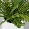 Boston Fern In White Ceramic Pot, Artificial Plants & Flower by Uttermost, 14" width x 14" height x 14" depth thumbnail 3