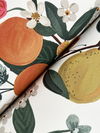 Flower Studies Rose Wallpaper thumbnail 2