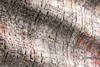 Loloi Medusa Rug, 2'4" length x 8' width thumbnail 5