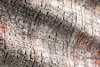 Loloi Medusa Rug, 2'4" length x 8' width thumbnail 5
