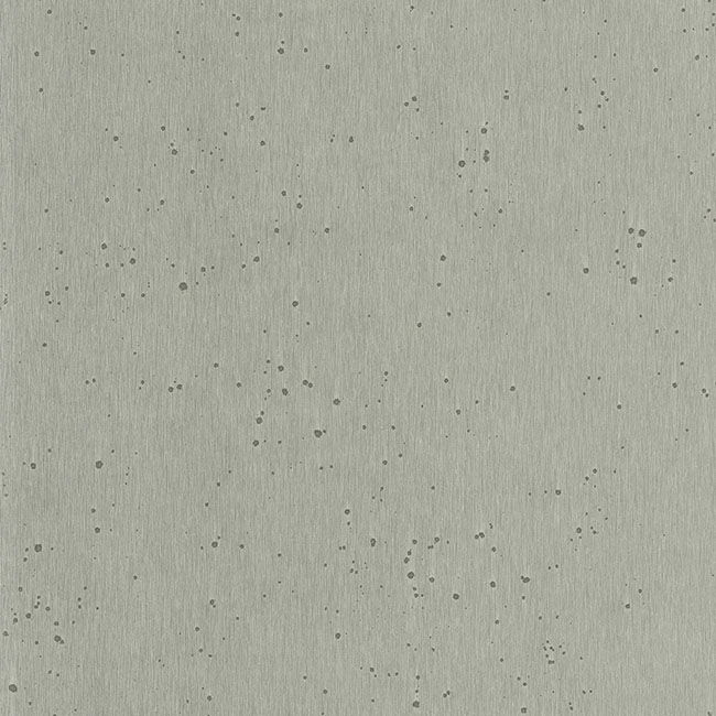 Burnished Patina Silver Wallpaper large image 