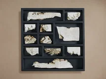 Online Designer Bathroom Burl Sections II Wall Art