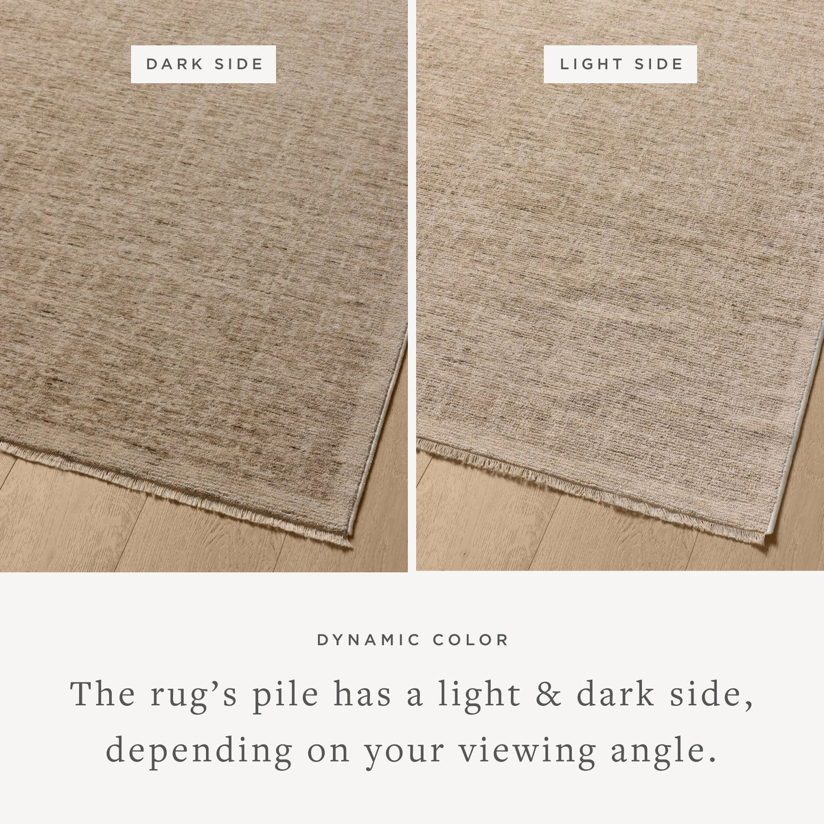 Loloi Winston Rug, 1'6" length x 1'6" width View 3