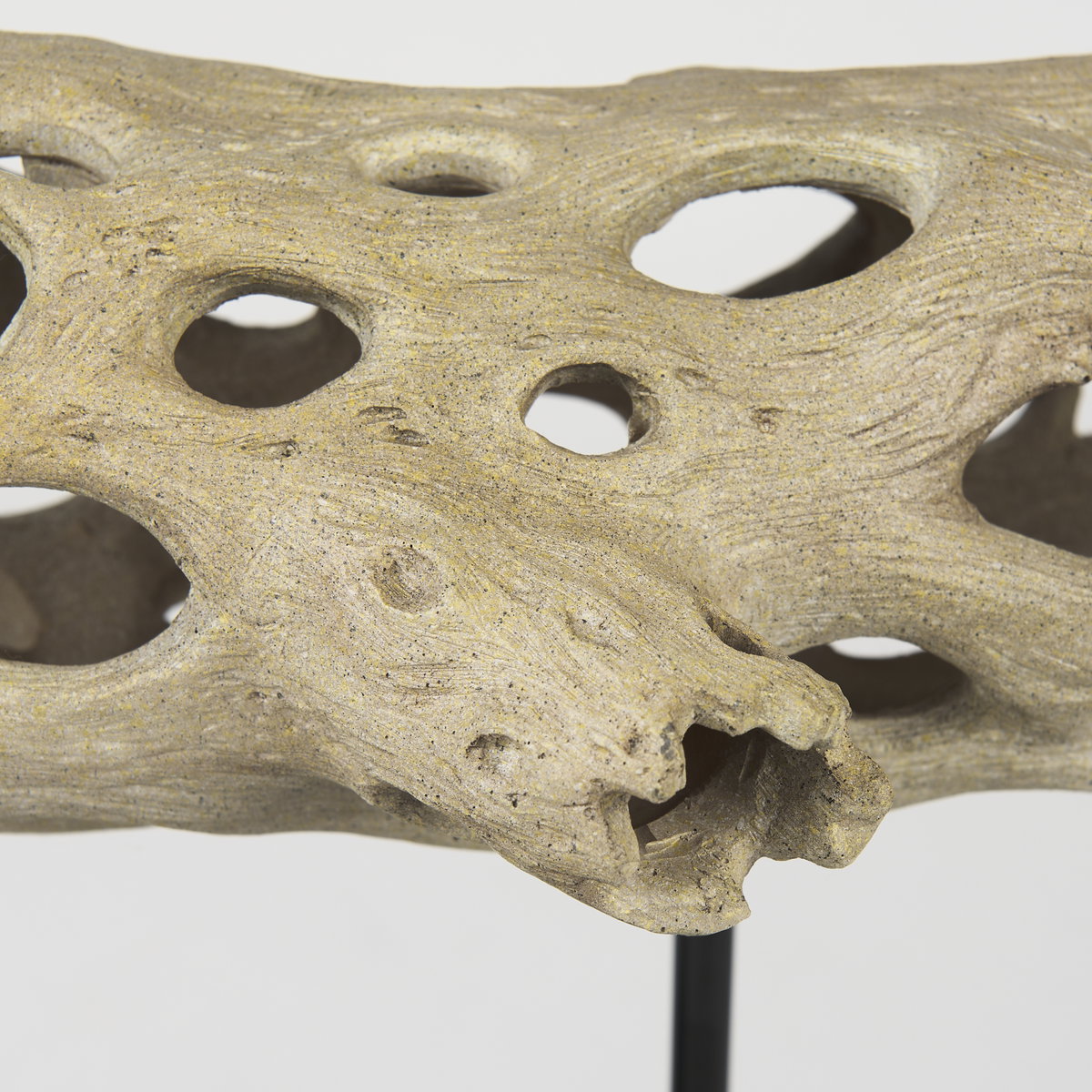 Dwell Cholla Wood Resin Decorative Object, by Mercana, 17.32" length x 7.09" width x 12.4" height View 10