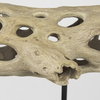 Dwell Cholla Wood Resin Decorative Object, by Mercana, 17.32" length x 7.09" width x 12.4" height thumbnail 10