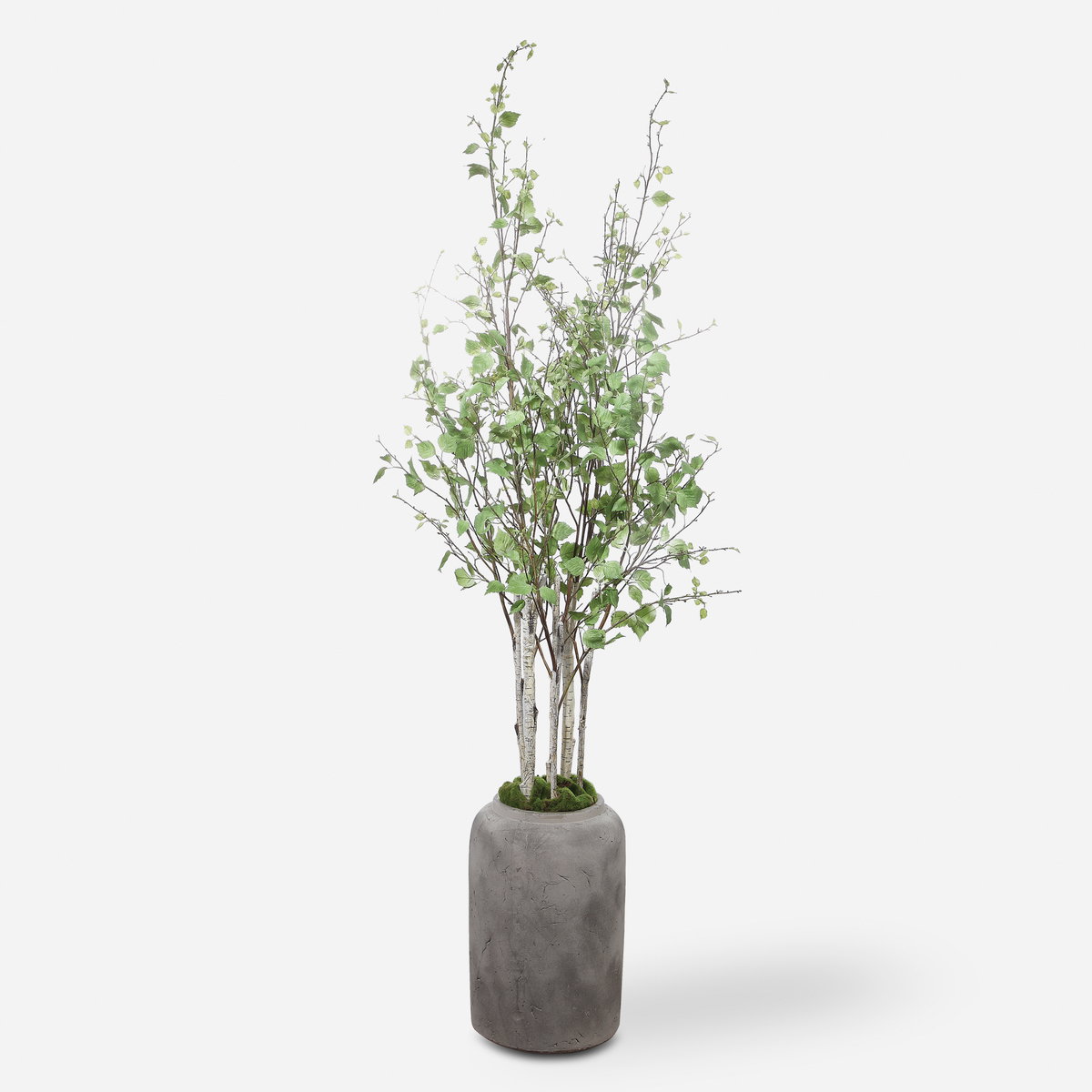 Aldis Potted River Birch, Artificial Plants & Flower by Uttermost, 28" width x 72" height x 28.5" depth View 1