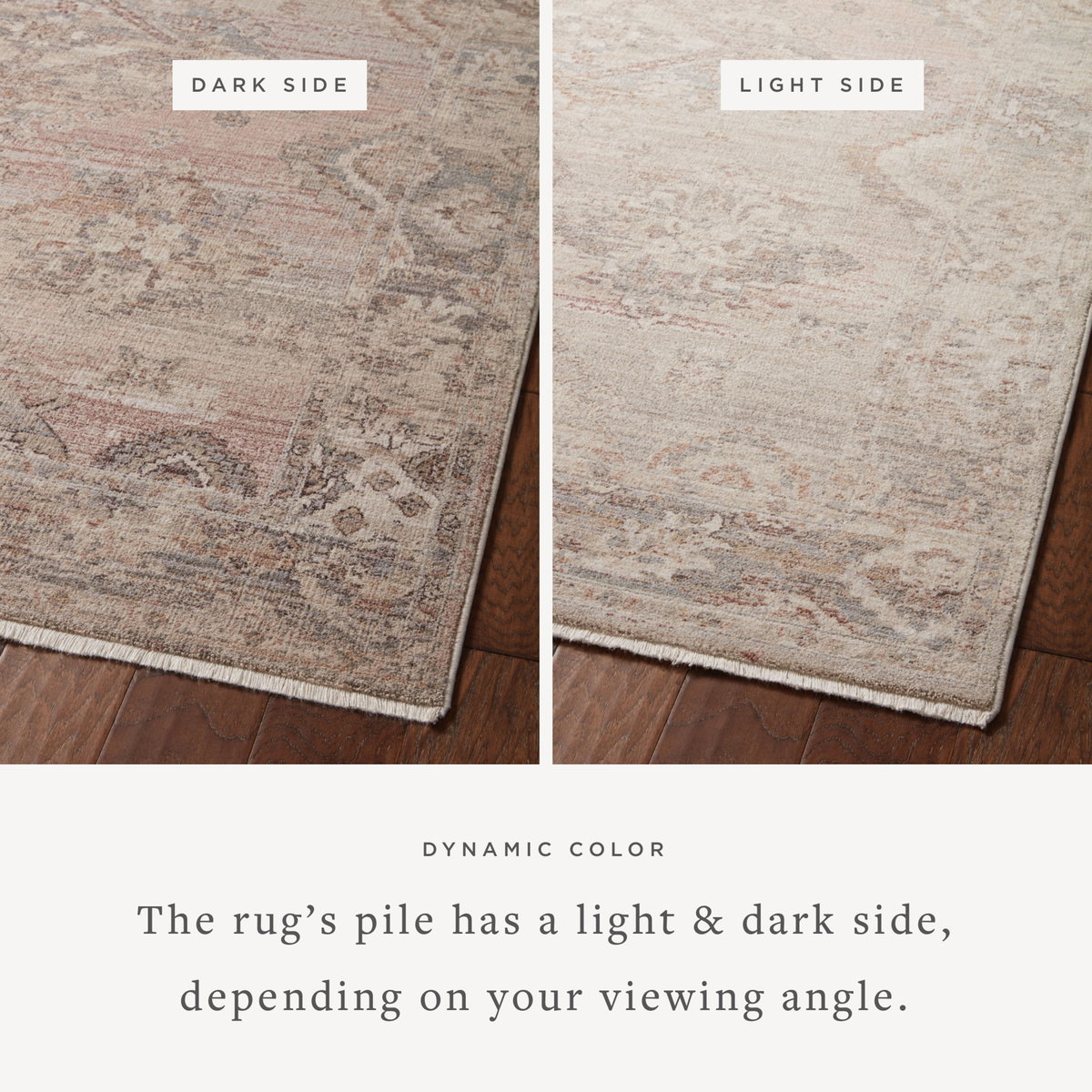 Loloi Lyra Rug, 7'10" length x 10' width View 4