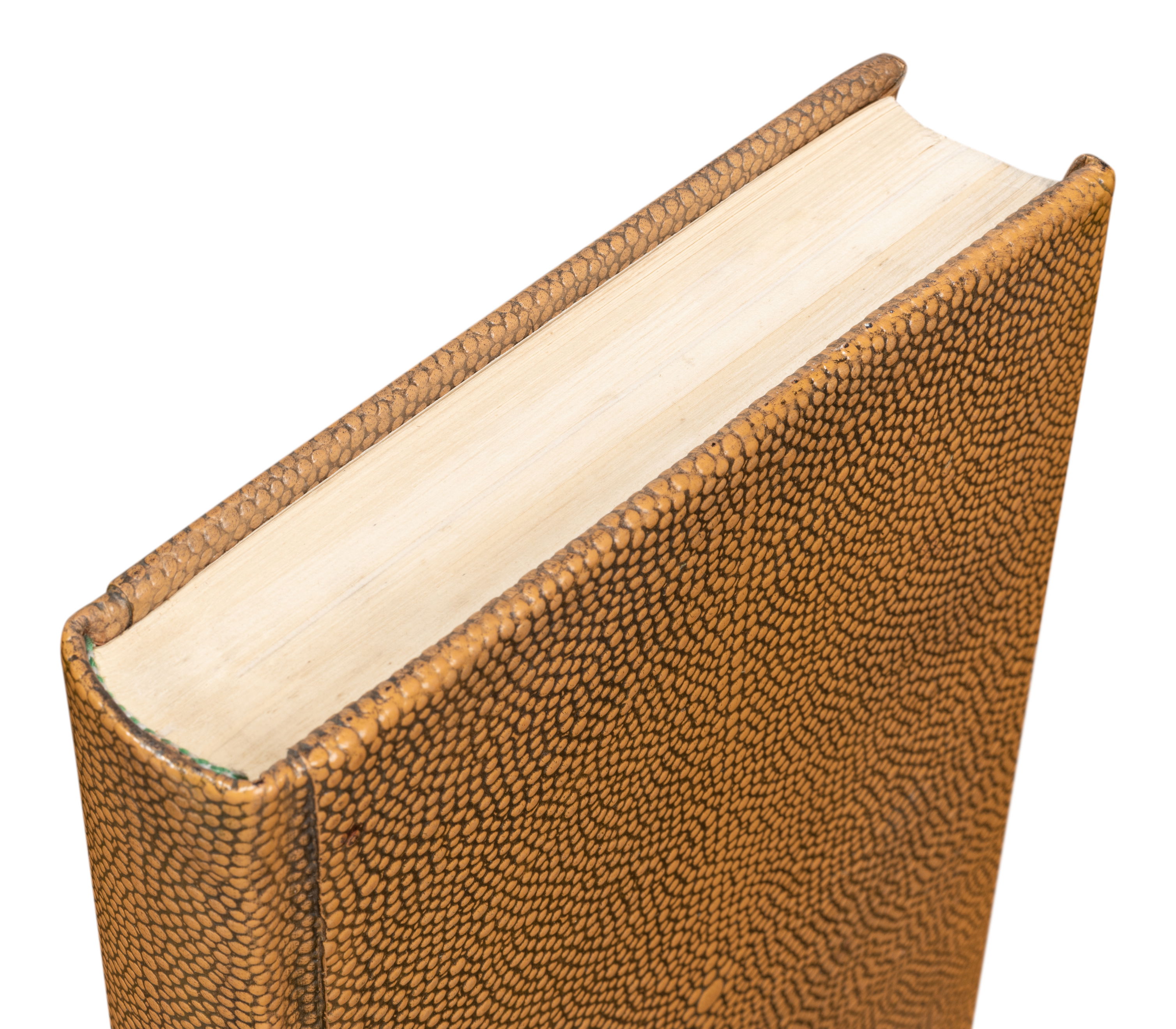 Shagreen Books  Set Of 12  Tawny Brown large image 
