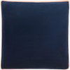 Sully Accent Pillow, Decorative Pillow by Surya, 18" length x 18" width thumbnail